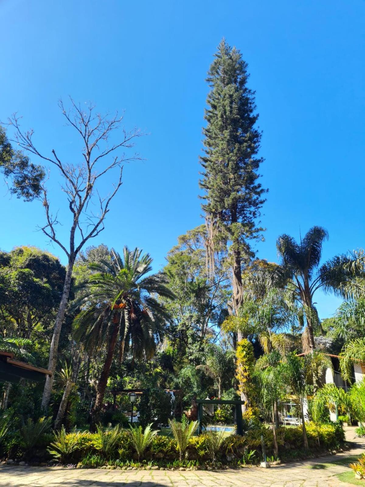 Pousada Villa Jambo Petrópolis 외부 사진